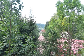 Kieboom