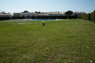 Muga