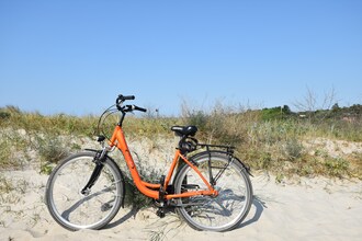 Wohnen unter Reet auf dem Darß