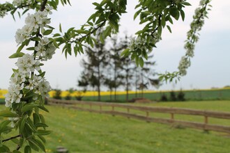 Hohenkirchen mit Garten Terrasse und Strandkorb
