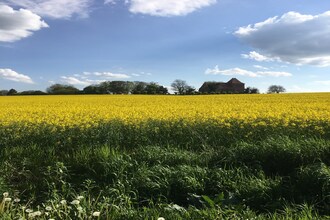Hohenkirchen mit Garten Terrasse und Strandkorb