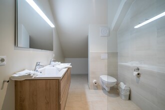 Hallstatt-Dachstein Luxury Gosau 6P