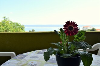 Apartment Erna 2