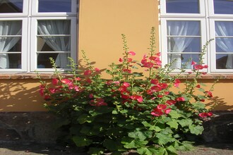 Urlaub im Rosengarten XL