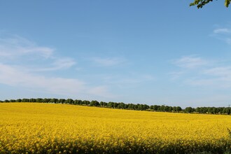 Urlaub im Rosengarten XL