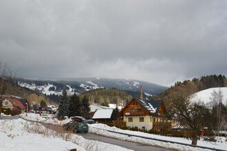 Bozena
