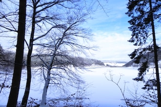 Ferienwohnung II Diemelsee