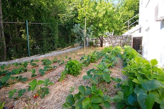 Villa Gardens
