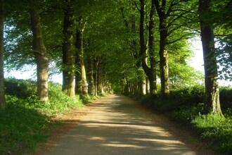 Campagne