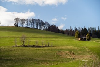 Zipfel
