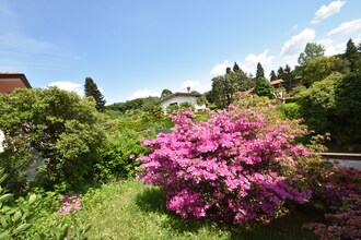 Villino Lucrezia
