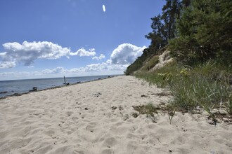 Insel Rügen - Schwalbennest für Familien mit Hund