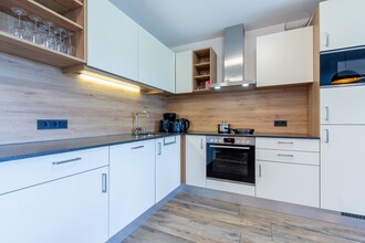 Luxury Tauern Apartment Piesendorf Kaprun 4