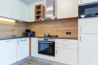 Luxury Tauern Apartment Piesendorf Kaprun 4