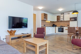 Luxury Tauern Apartment Piesendorf Kaprun 4