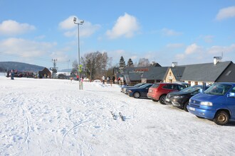 Marek