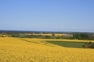 Familien-Ostseeferien 3