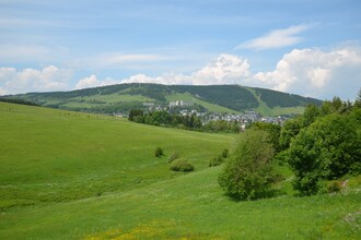 Skichom D