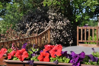 Apartment Bocianowo in Agrotourism
