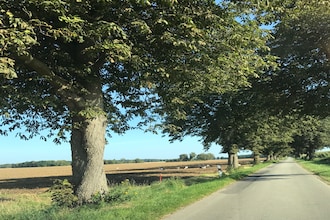 Familienwohnung mit 3 Schlafzimmern Nr 2