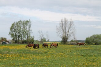 Ferienwohnung Leuchtturm am Reiterhof