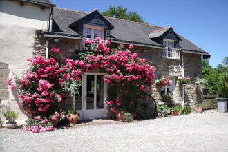 Vakantiehuizen Morbihan EUR-FR-56490-03