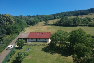 Michal