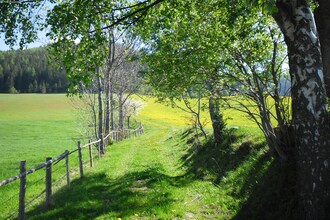 Klippitztörl 342