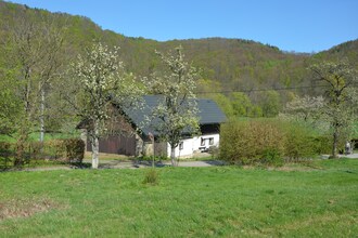 Tatana