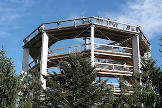 Hogendorf