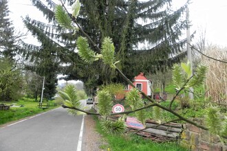 Hogendorf