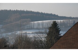 Hogendorf