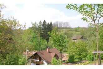 Hogendorf
