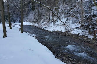 Spiegeltal