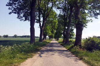 Apartment Hortensjowo in Agrotourism