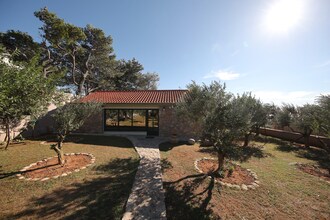 Apartman maslina