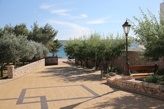 Apartman maslina