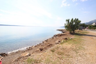 Apartman maslina