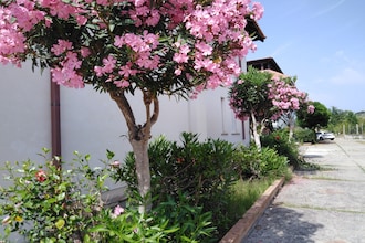 Casa Rita
