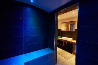 Luxury Apartment Hollersbach 1