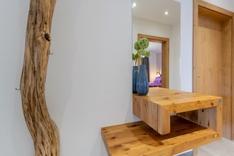 Luxury Apartment Hollersbach 1