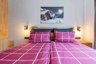 Luxury Apartment Hollersbach 1