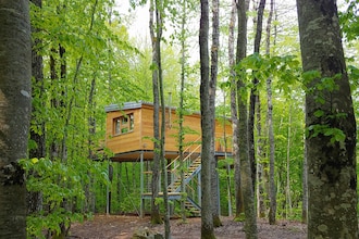 Treehouse Lika 2
