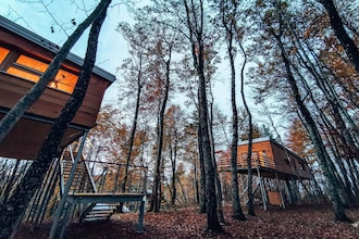Treehouse Lika 2