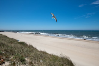 Dos Mudos Luxury Ocean View