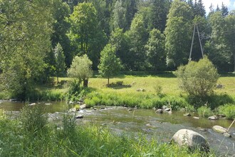 dom wiejski Sokolik- Appartment Forest