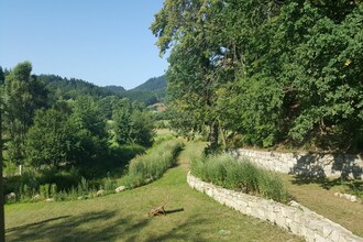 dom wiejski Sokolik- Appartment Forest