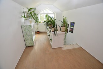 Pano