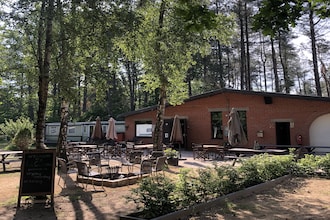 Roodborstje