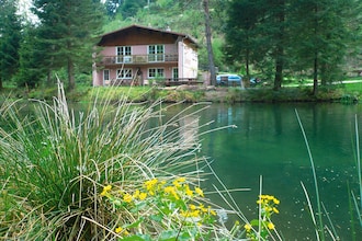 Holiday home in Alsace/Vosges/Lorraine
